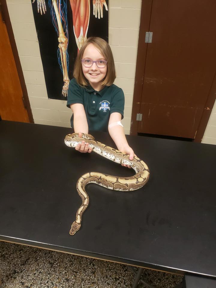 Welcome To Olof Herpetology 2019 Our Lady Of Fatima School,Tiny House Communities In Georgia